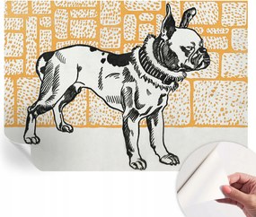 Fotótapéta Dekoratív Fali Tapéta Képek Kutya Retro 208x146