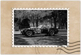 Poszterek 60x40 Shelby