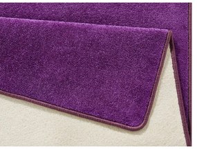 Sötétlila szőnyeg 160x240 cm Fancy – Hanse Home