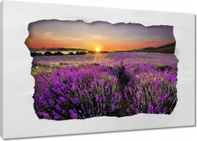 Vászonkép 120x80 Levendulamező Nyugat