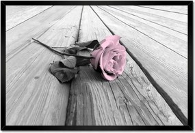 Poszter keretben 60x40 Púderrózsaszín Old pink Rose