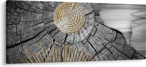 Kép - A fa törzse kollázsban (120x50 cm)