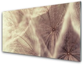 Akrilüveg fotó pitypang növény 120x60 cm