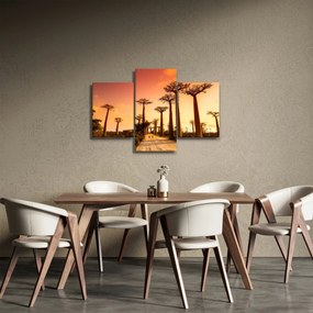 Kép - Naplemente a Baobab Alley-ben (90x60 cm)