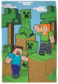 Minecraft Encounter polár takaró 100x150cm