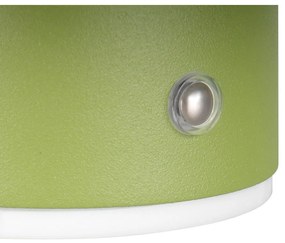 Zöld USB LED fali lámpa Davey – Trio