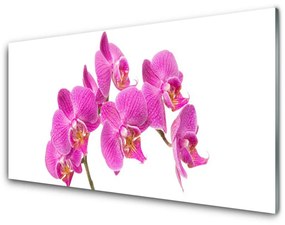 Fali üvegkép Orchidea virágok Természet 140x70 cm