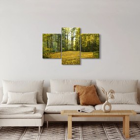 Kép - erdő ősszel (90x60 cm)