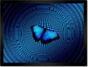 Poszterek keretben 40x30 Pillangó a medencében