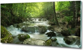 Fotó üvegkép Vízesés az erdőben 100x70