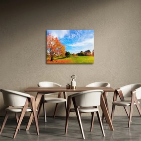 Kép - Őszi táj (70x50 cm)