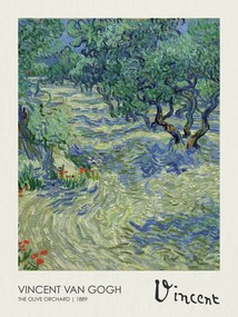 Reprodukció Olive Orchard (1889)