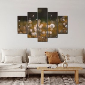 Kép - Gyapotfűvel borított rét N⁰2 (150x105 cm)