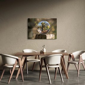 Kép - Tükröződés az üveggömbben (üvegen) (70x50 cm)