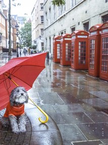 Poszter 60x80cm Kutya esernyővel a londoni utcán, Assaf Frank