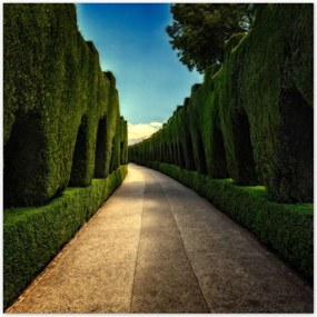 Poszterek 140x140 Tåjkép Låtvåny