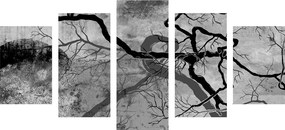 5-részes kép szürreális fák fekete fehér kivitelben