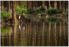 Poszterek 200x135 Tájkép Látvány