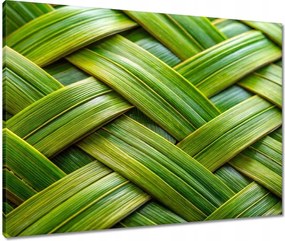 Vászonkép 80x60 Zöld fonott Zöld rattan fonott lemez