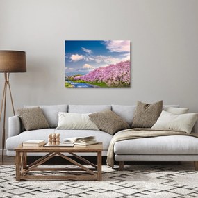 Kép - Japán tavaszi táj (üvegen) (70x50 cm)