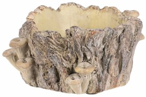 Beton burkolat - tusk with mushrooms, 18 x 14 x 9cm, 18 cm