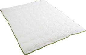 Egész évben használható steppelt paplan 140x200 cm párnával STELLA ALOE VERA 70x90 cm, fehér