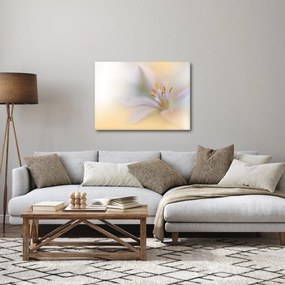 Kép - Gyengéd virág (70x50 cm)