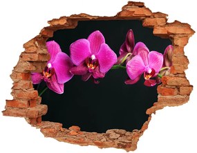 3d-s lyuk vizuális effektusok matrica Orchidea nd-c-64284743