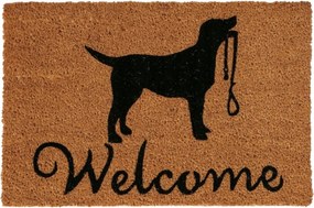 Lábtörlő Kókusz Gumi 60x40 cm geometrikus mintás Pvc ajtószőnyeg