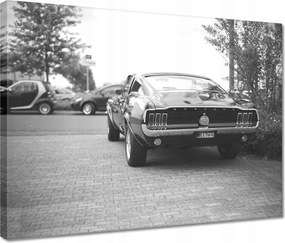 Vászonkép 40x30 Ford Mustang