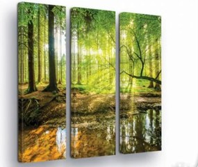 Vászonkép 90x100 Erdő természet nap fény árnyék víz zöld fák nyugalom