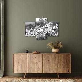 Kép - Százszorszépek (90x60 cm)