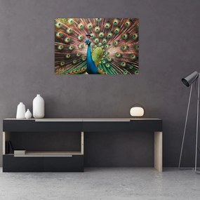 Kép - Páva (90x60 cm)