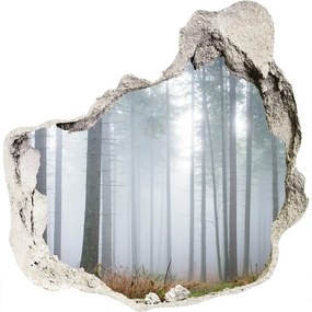 3d lyuk fal dekoráció Köd az erdőben nd-p-74026356