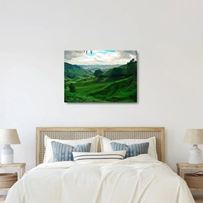 Kép - Teaültetvények Malajziában (70x50 cm)