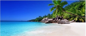 Kép a strandról a Praslin szigeten (120x50 cm)