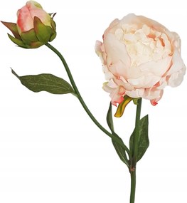 Bazsarózsa Peonia Bazsarózsa Peonie sárgabarack rügyekkel mesterséges bazsarózsa virágok