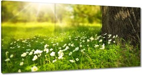 Festmények 120x60 Sugárzás a réten