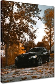 Vászonkép 30x40 Fekete Bmw Ősz