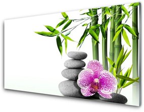 Modern üvegkép Spa Zen Bamboo Art 100x50 cm 4 fogas