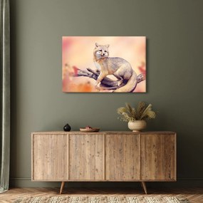 Kép - Róka (90x60 cm)