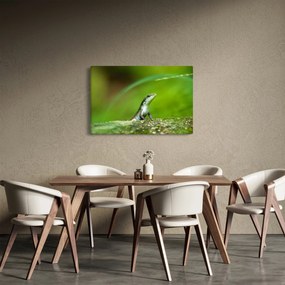 Gyíkok képe (90x60 cm)