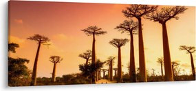 Kép - Naplemente a Baobab Alley-ben (120x50 cm)