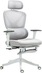 HOMCOM Hálós Irodai Szék Dönthető Irodai Szék Forgatható Fejtámlával Derék Támasszal Lábpihentővel 3D Kartámaszokkal és Magasságban Állítható Döntési