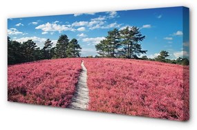 Canvas képek Field erdő csarabosai 120x60 cm