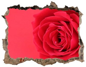 3d-s lyuk vizuális effektusok matrica Vörös rózsa nd-k-77656963