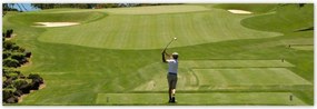 Poszterek 200x66 Golfozó a mezőn