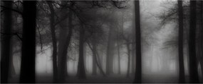 Kép - erdő a ködben (120x50 cm)