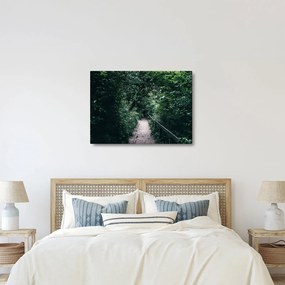 Kép - Az erdőn át vezető út (70x50 cm)