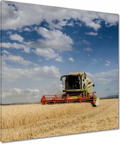 Vászonkép 90x90 Kombájn az aratás idején